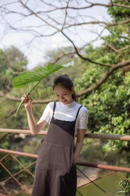 星辰视频免费高清在线观看