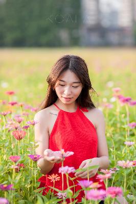 天天干天天日